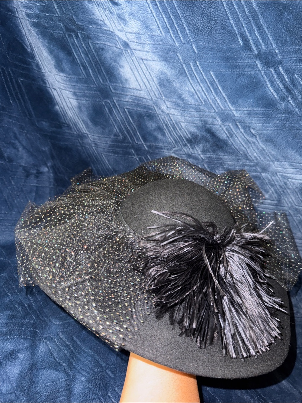 Elegant Black Feather and Veil Fascinator Hat - Women Accessories